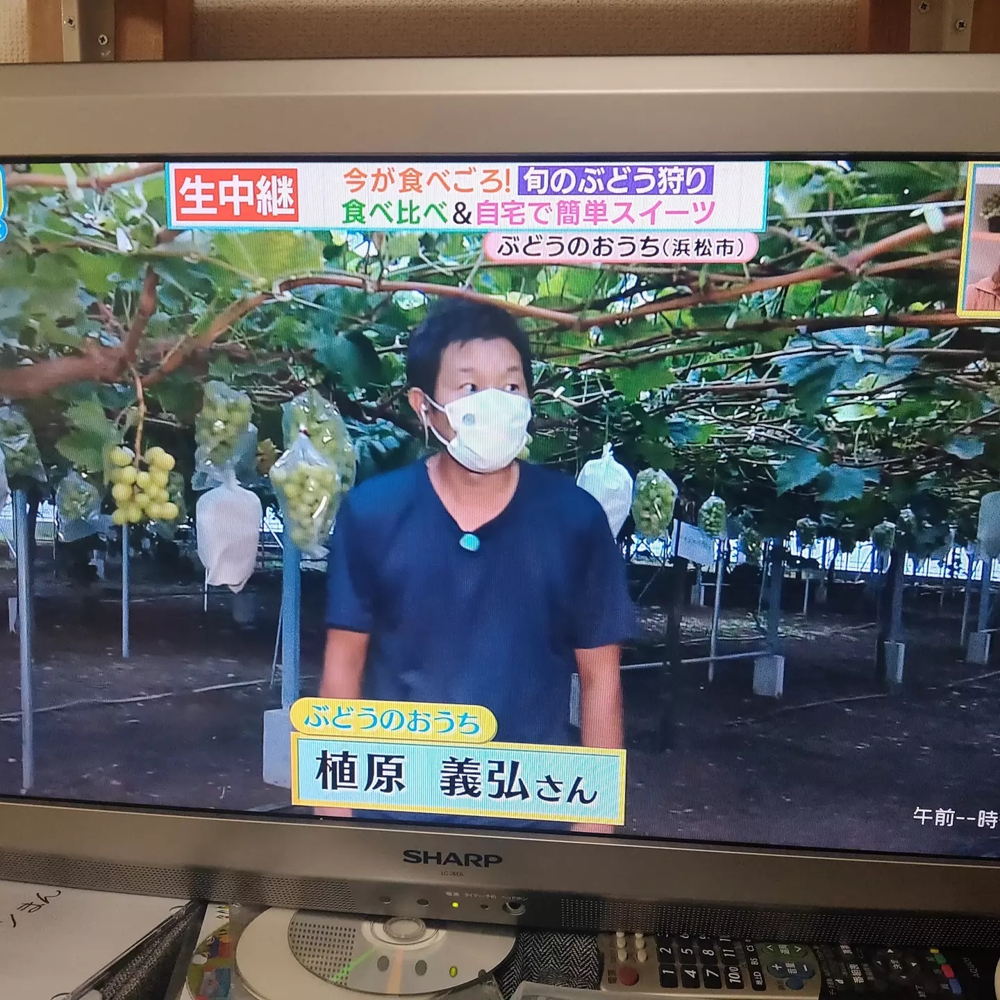 友人がテレビに静岡県浜松市の、ぶどうのおうち、です。