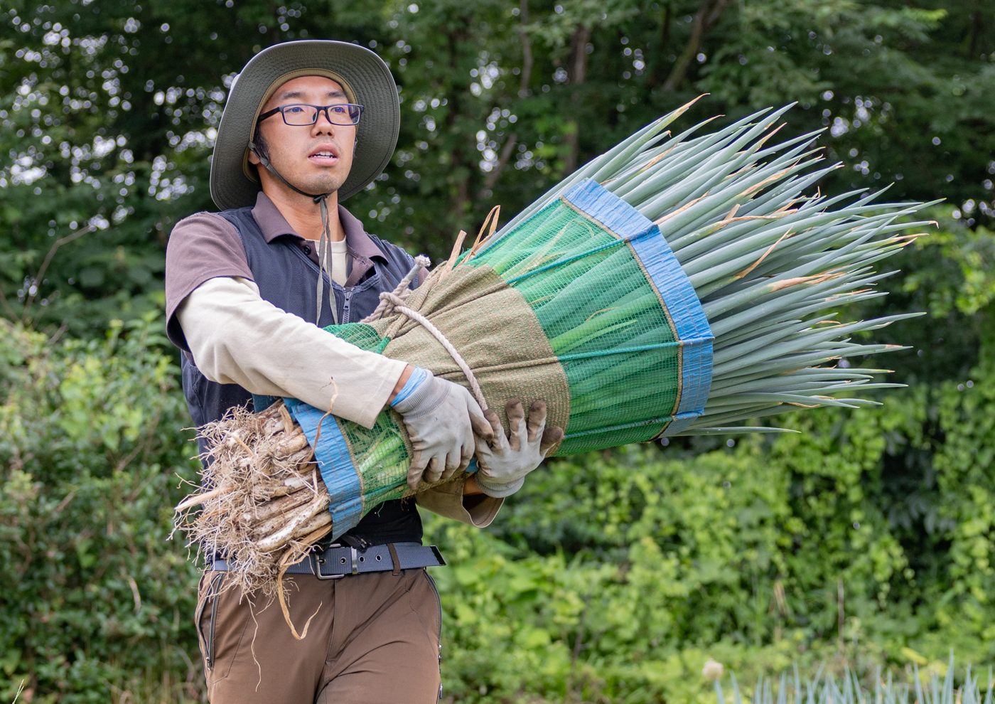 ネギを抱えて畑を歩く山村さん